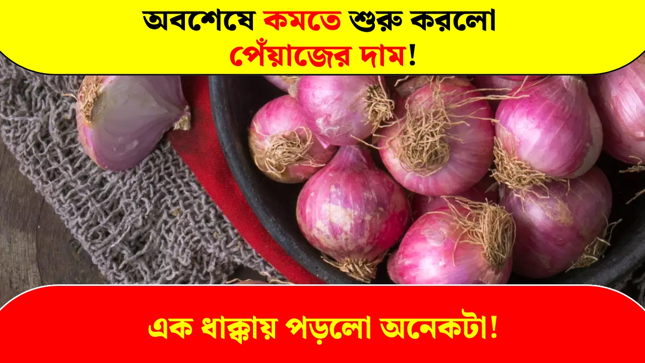 Finally, the price of onion started to decrease
