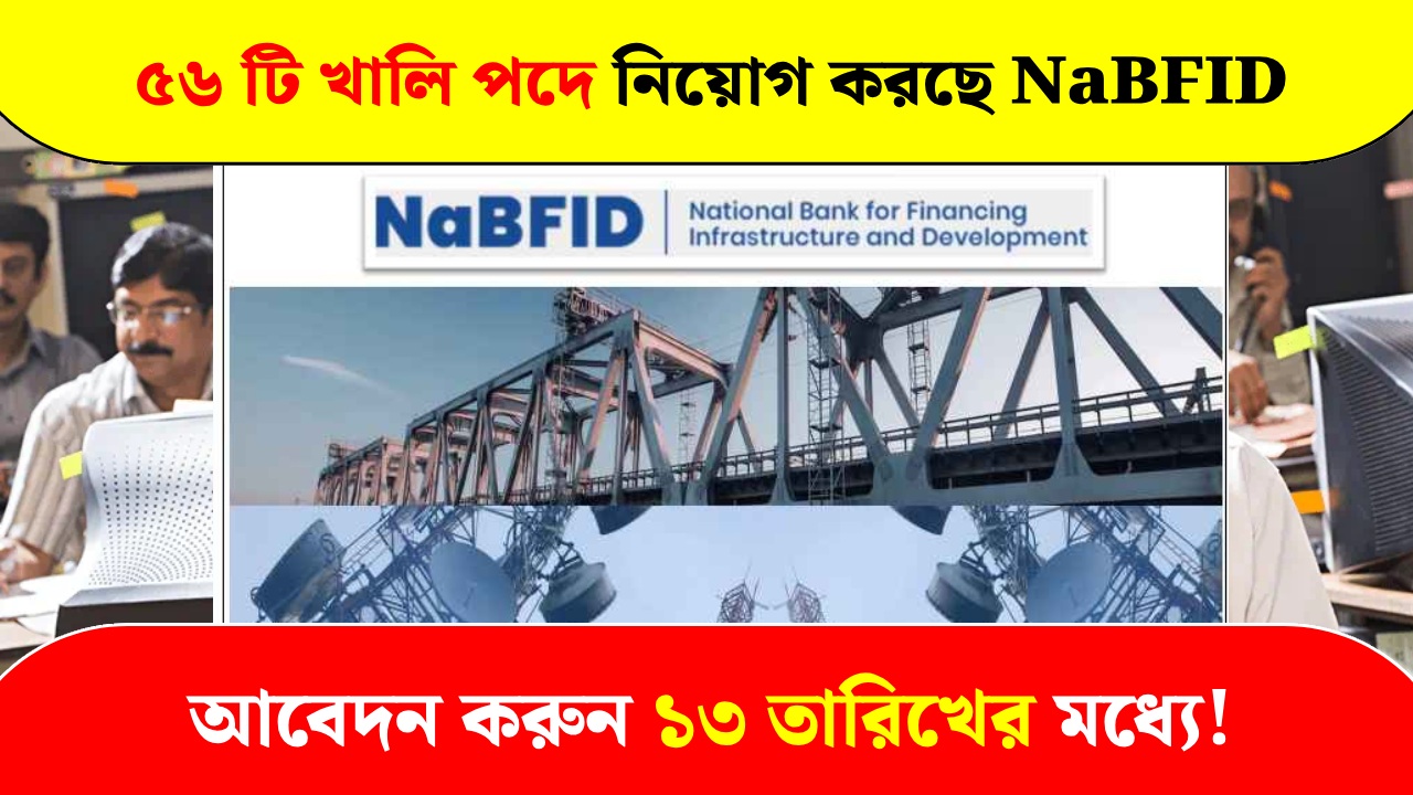NaBFID is recruiting for 56 vacancies